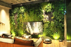 Creation sur mesure de mur vegetal interieur